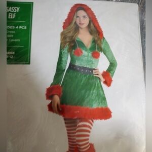 Sassy Elf Green and Red Women's Dress